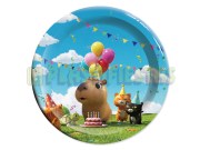 GM.PLA.PAS.CAP.972